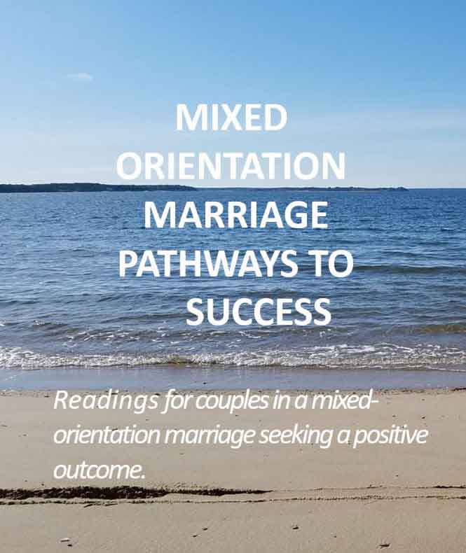 Mixed Orientation Marriage : Pathways to Success Book Cover  